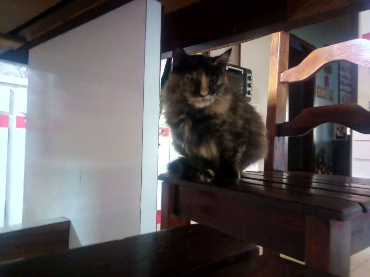 “青春奋起”青少年篮球明星选拔营在南京抢占先机,塑造未来偶像