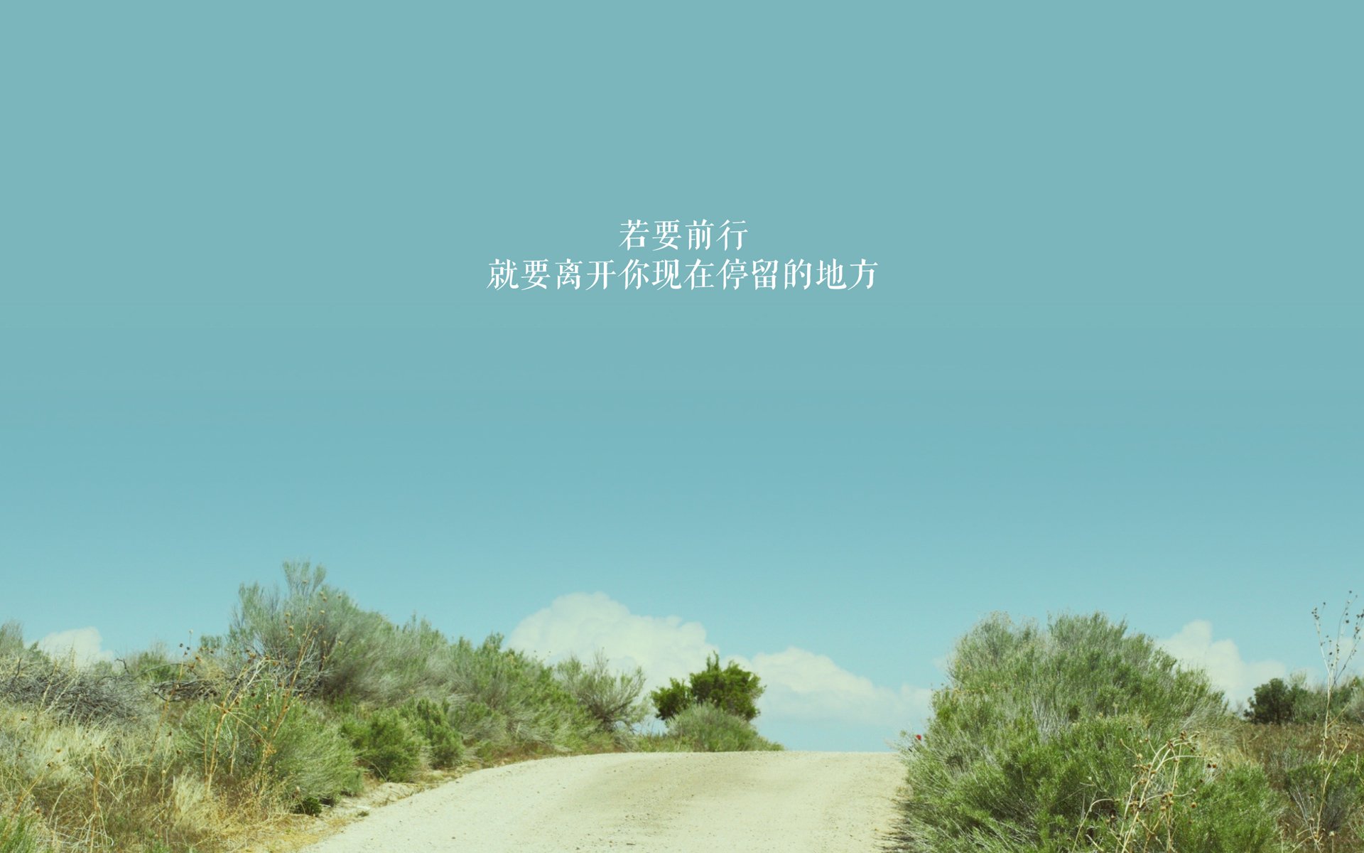 开云·体育官网-“赛场救援:危机中的英雄瞬间”,赛场急救