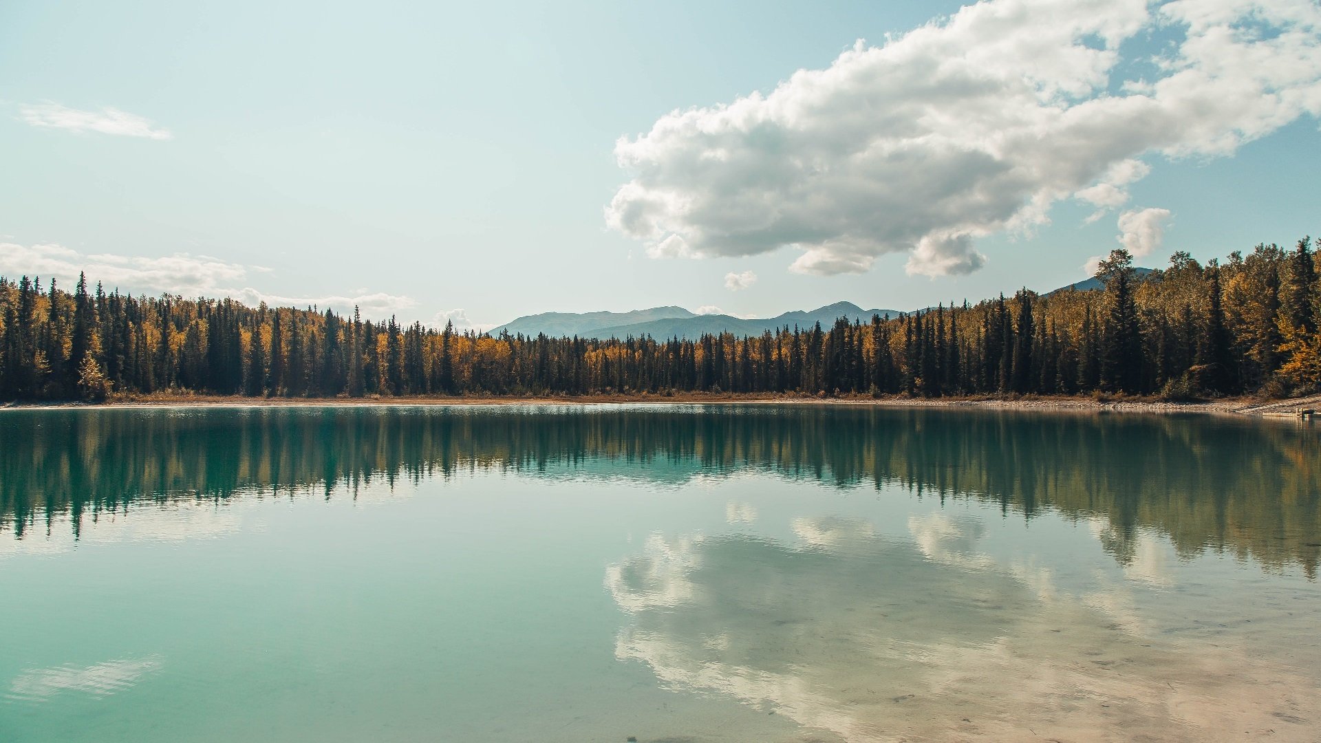 《电子竞技为何能崛起?行业专家详解》,电子竞技为什么这么火