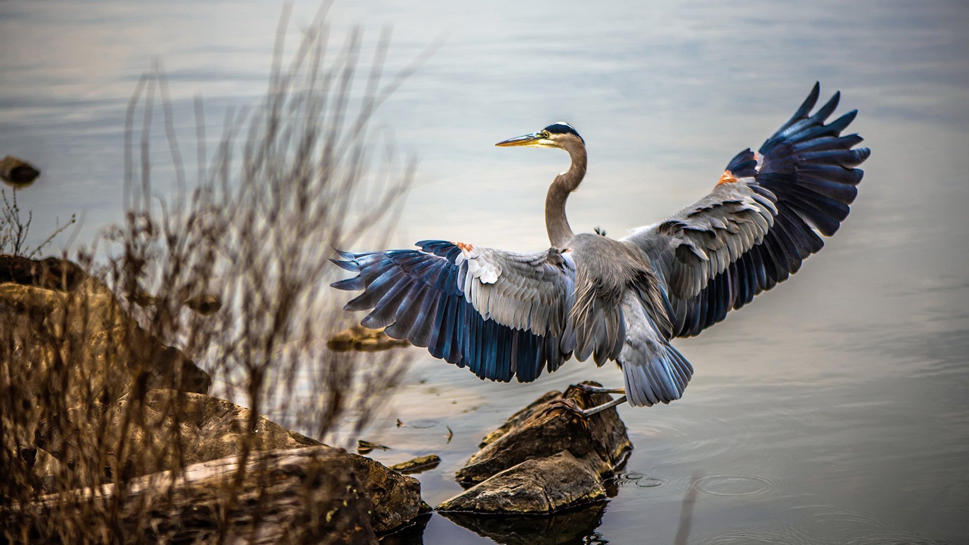 《赛事录像回放:哪些精彩片段令人难忘?》,比赛录像回放