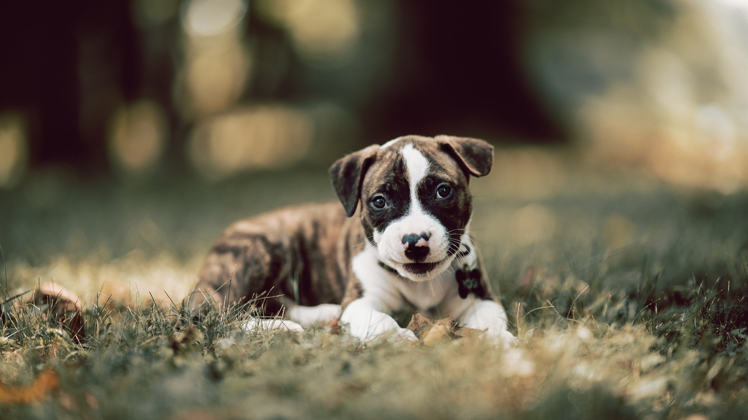史上最不可思议的“黑马团队”逆袭记，黑马诞生 完美逆袭