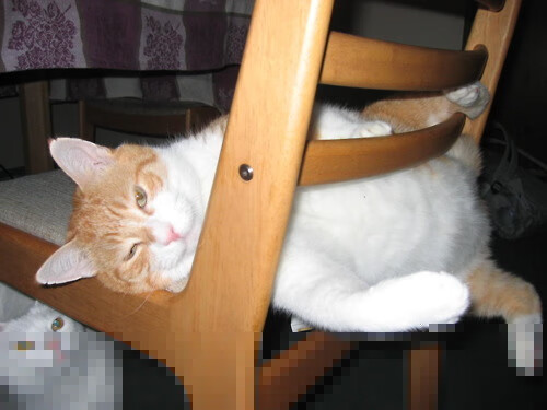 哈兰德连续23场破门,英超火力全开再创新高,哈兰德未来锁定六大顶豪_3英2西1意 切