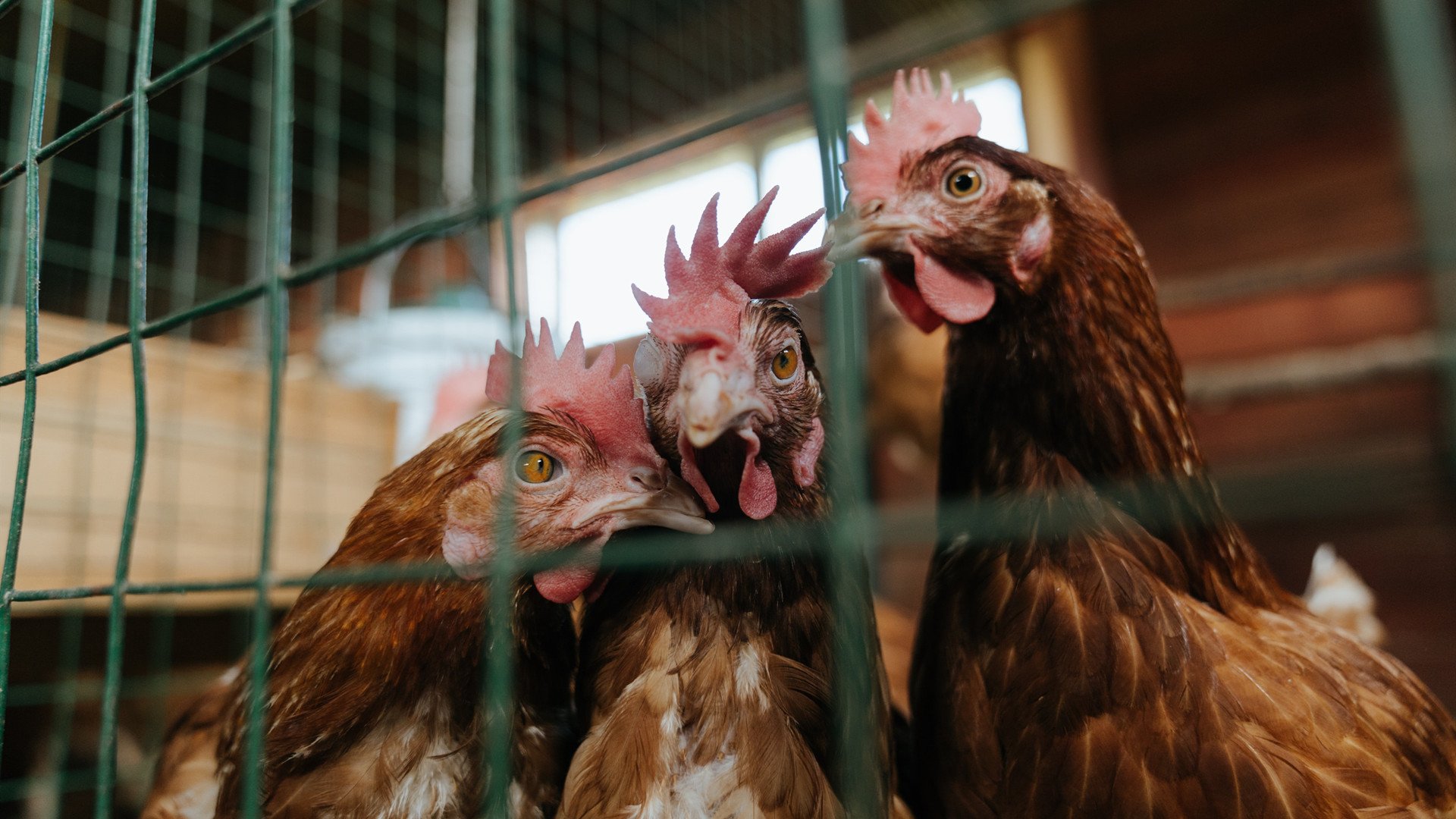 各级青训联赛片区联动，开拓青训产业新空间，2020青训